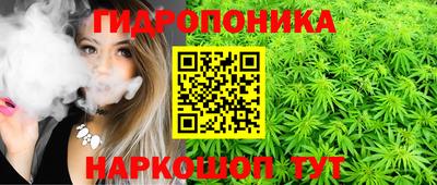 Альфа ПВП Нальчик