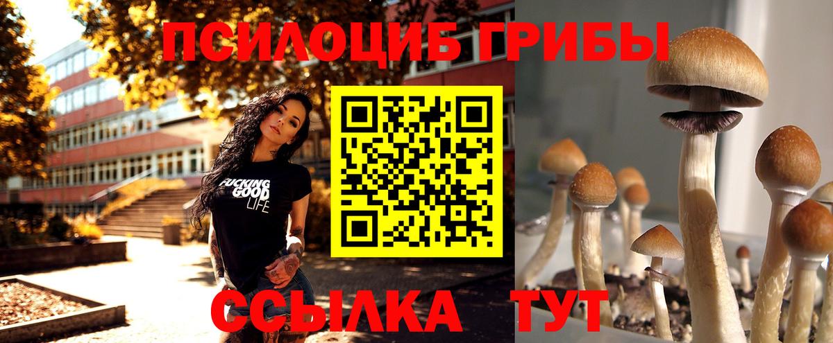 Галлюциногенные грибы прущие грибы Петрозаводск