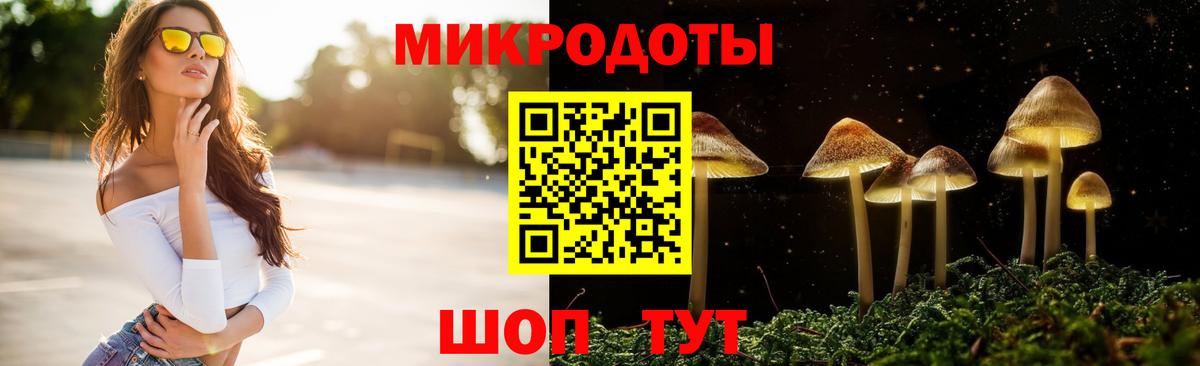 где купить наркотик  Вход с VPN  Петрозаводск  Псилоцибиновые грибы ЛСД 